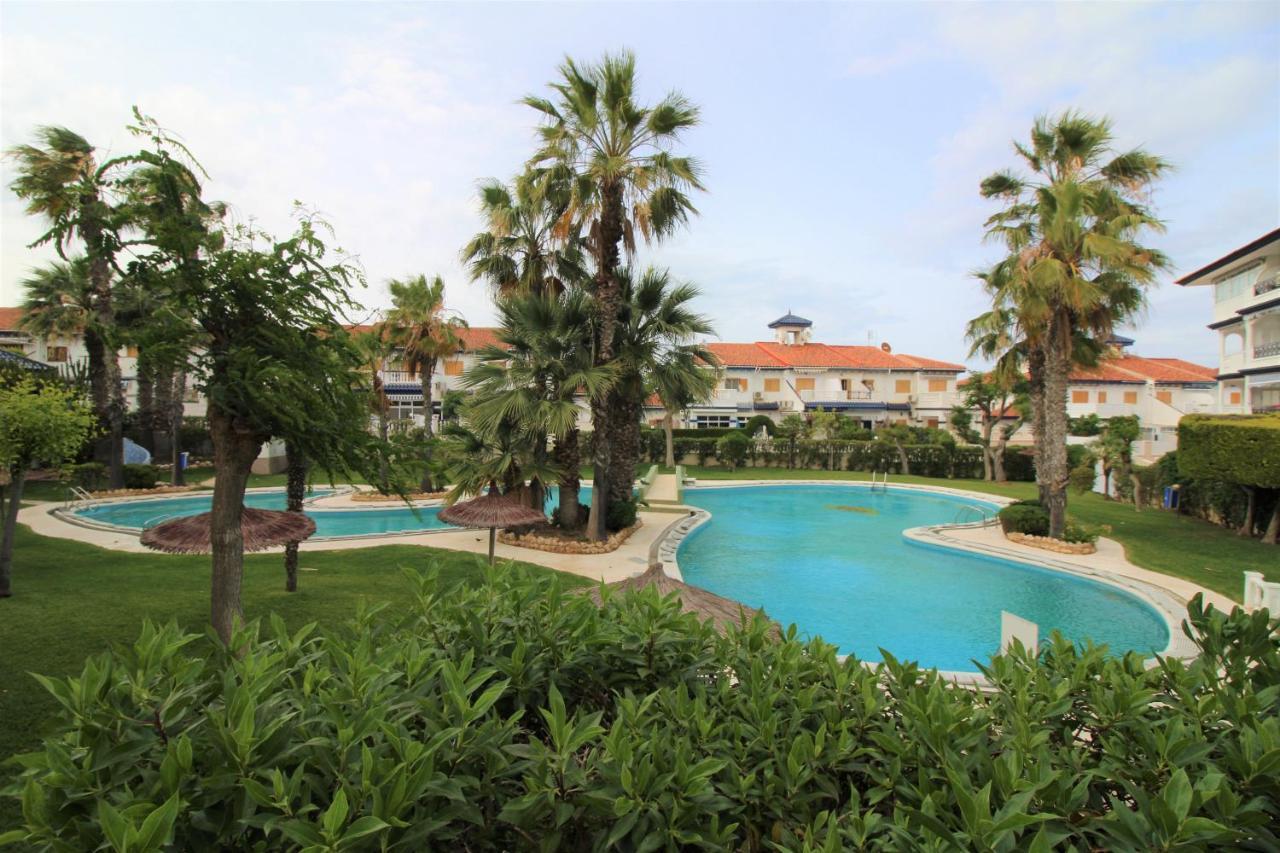Elvira Home, Coqueto Apartamento Con Piscina En La Mata, Torreviejaaq-153 La Mata  Exterior foto